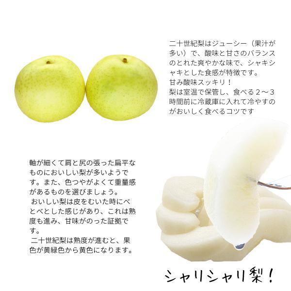 梨 二十世紀梨 10kg詰 なし ナシ（訳あり ご自宅用）秋吉農園 （S-3L