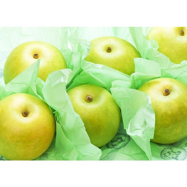 梨 二十世紀梨（ご贈答用）3kg詰 20世紀梨 なし ナシ（8-16玉前後入