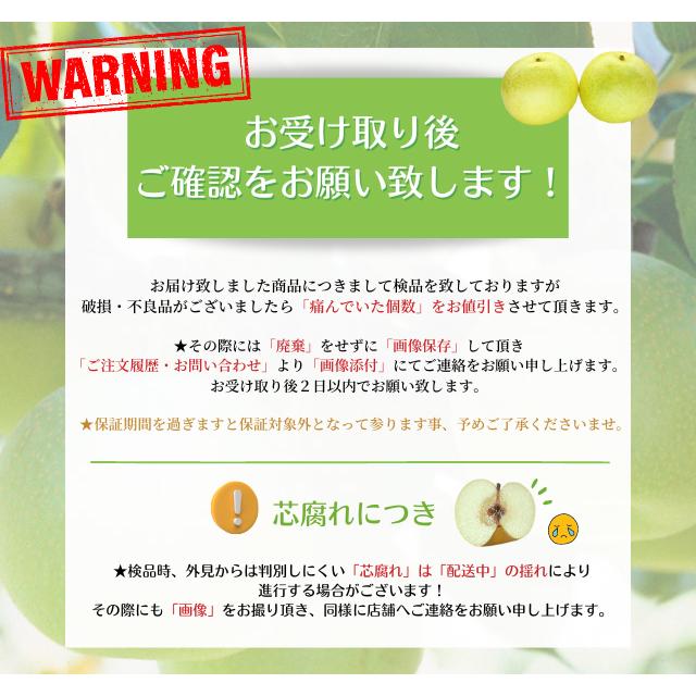 梨 二十世紀梨 5kg（S-3L 12-28個前後 ）梨 なし ナシ鳥取県産 (ご