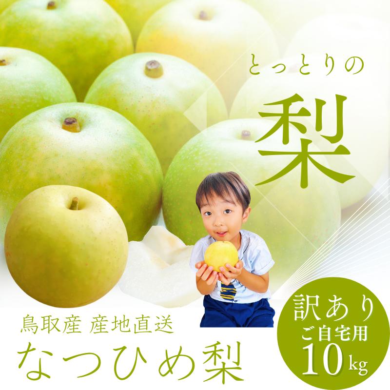 【梨】なつしずく　訳あり10キロ　規格外 梨 なつひめ 夏姫 梨10kg なし ナシ（20-48玉前後入）（ご自宅用 訳