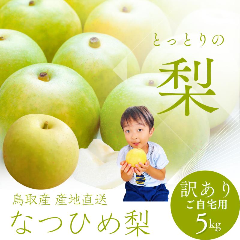 梨 なつひめ 夏姫 梨5kg なし ナシ 10-20玉前後入 ご自宅用 訳あり