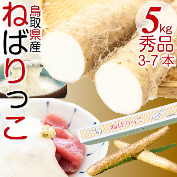誕生日 お祝い 鳥取特産 ねばりっこ 新物 山芋 長芋 ご進物 約５kg 3 7本入 鳥取県 ブランド 送料無料