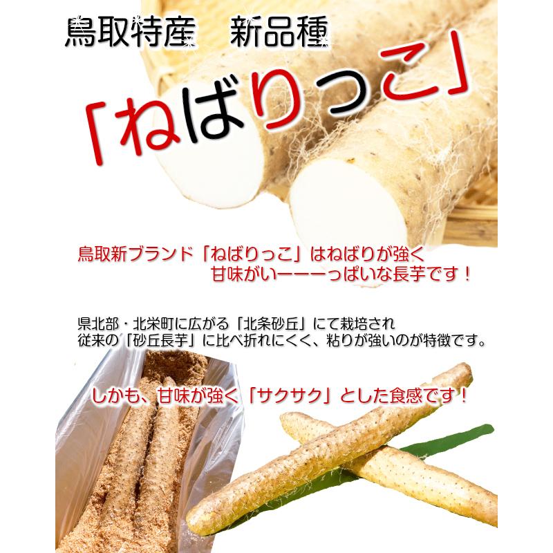 ファクトリーアウトレット 鳥取特産 ねばりっこ 新物 山芋 長芋 優品 ご自宅用 約3kg 2-4本入 鳥取県 ブランド 送料無料 bemaxarena.me ファクトリーアウトレット 鳥取特産 ねばりっこ 新物 山芋 長芋 優品 ご自宅用 約3kg 2-4本入 鳥取県 ブランド 送料無料 bemaxarena.me