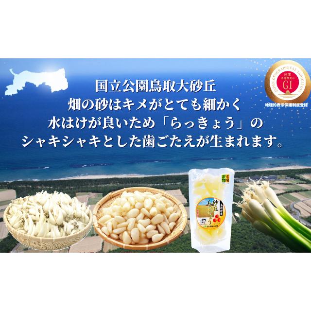 らっきょう 生 根付き ラッキョウ Lサイズ 10kg JAいなば JAふくべ