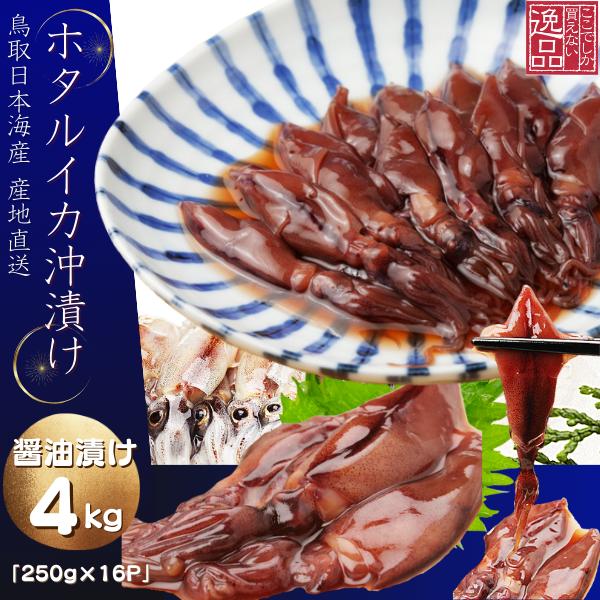 ホタルイカ 沖漬け 醤油漬け ほたるいか 沖漬け 2026年度 生 新物 4kg (250g×16パック)  -60℃以上冷凍  山陰沖産 ほたるいか 送料無料　（Yahoo!・小松屋）
