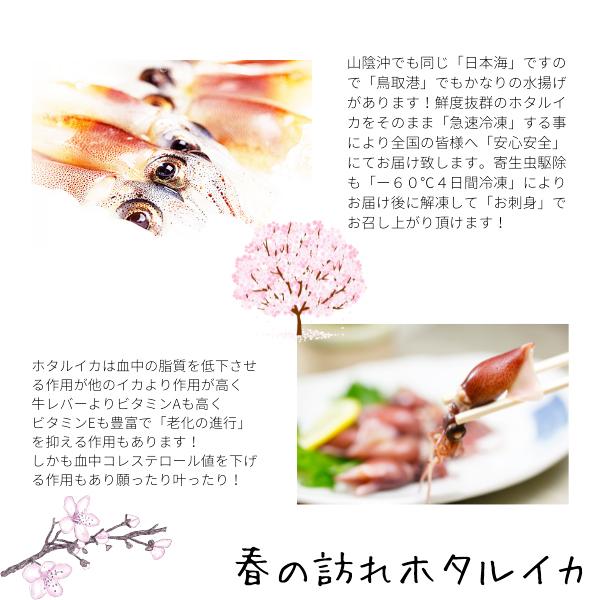 ホタルイカ沖漬け 醤油漬け 22年度 新物 ４ｋｇ ２５０ｇ １６パック ６０ 以上冷凍 山陰沖産 ほたるいか 送料無料 Oki4 小松屋 通販 Yahoo ショッピング