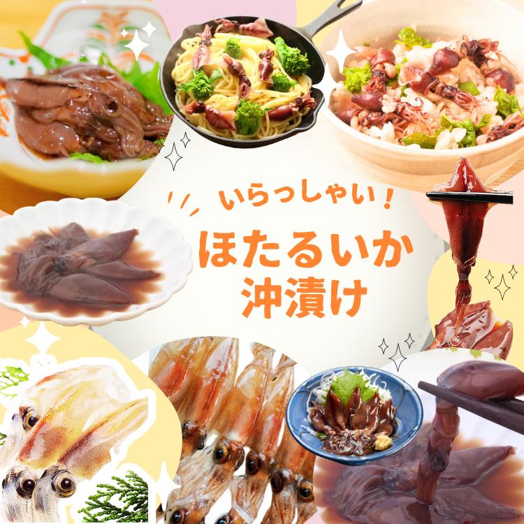 ホタルイカ 沖漬け 醤油漬け ほたるいか 2026年度 生 新物 4kg (250g