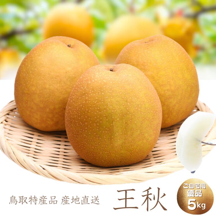 梨 王秋梨 5kg(8-16玉) 和梨 優品 ご自宅用 王秋 鳥取産 赤梨 おう