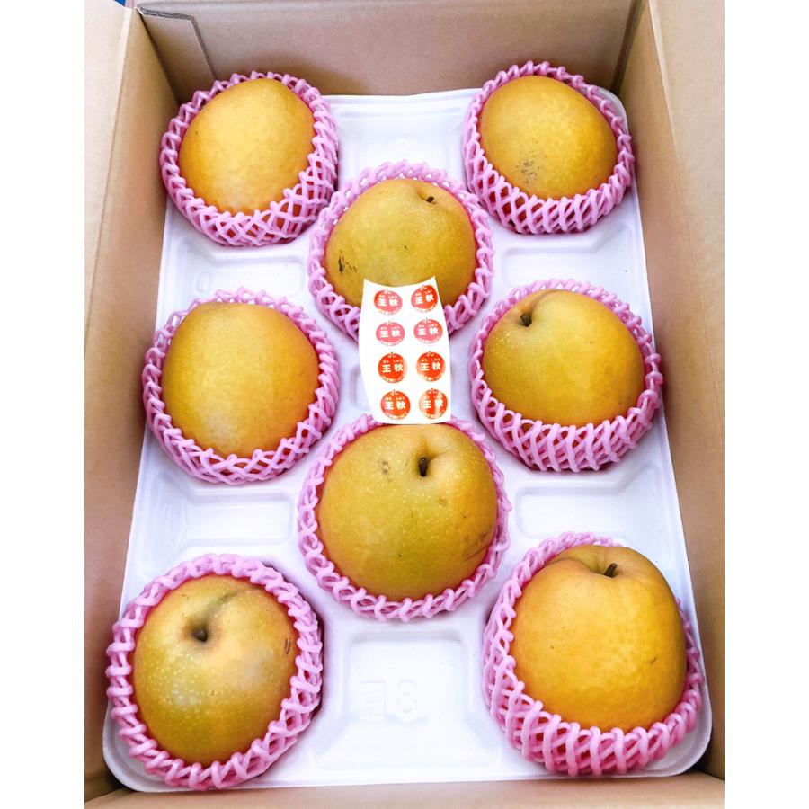 梨 王秋梨 5kg(8-16玉) 和梨 優品 ご自宅用 王秋 鳥取産 赤梨 おう