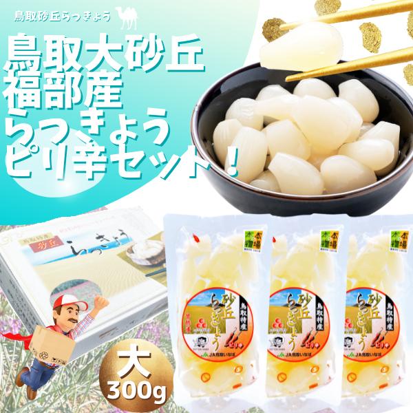 最大81%OFFクーポン らっきょう 鳥取砂丘福部町産 JAいなば ピリ辛 300g 3袋セット ご贈答 ギフト 国立公園鳥取砂丘 鳥取ふくべ町産 ラッキョウ 最大81%OFFクーポン らっきょう 鳥取砂丘福部町産 JAいなば ピリ辛 300g 3袋セット ご贈答 ギフト 国立公園鳥取砂丘 鳥取ふくべ町産 ラッキョウ