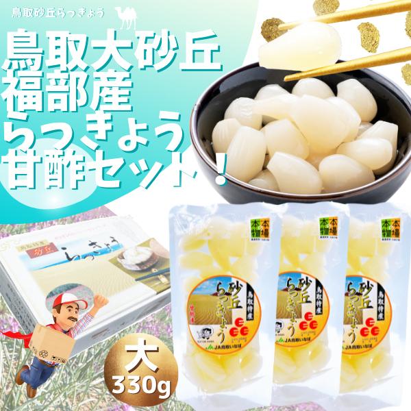 らっきょう 鳥取砂丘福部町産 Jaいなば 甘酢 330g 3袋セット ご贈答 ギフト 国立公園鳥取砂丘 鳥取ふくべ町産 ラッキョウ 当店限定販売