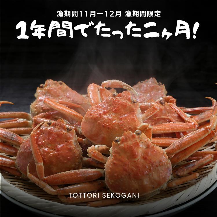 カニ セコガニ 1kg前後 せこがに セイコガニ 足折れ（4-9枚） か