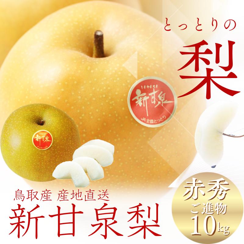 梨 新甘泉梨 しんかんせん 鳥取産 10kg （赤秀 ご進物用）梨 和梨 なし