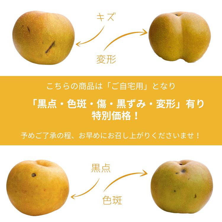 梨 新甘泉梨 しんかんせん 鳥取産 3kg ご自宅用 和梨 なし 赤梨 ナシ