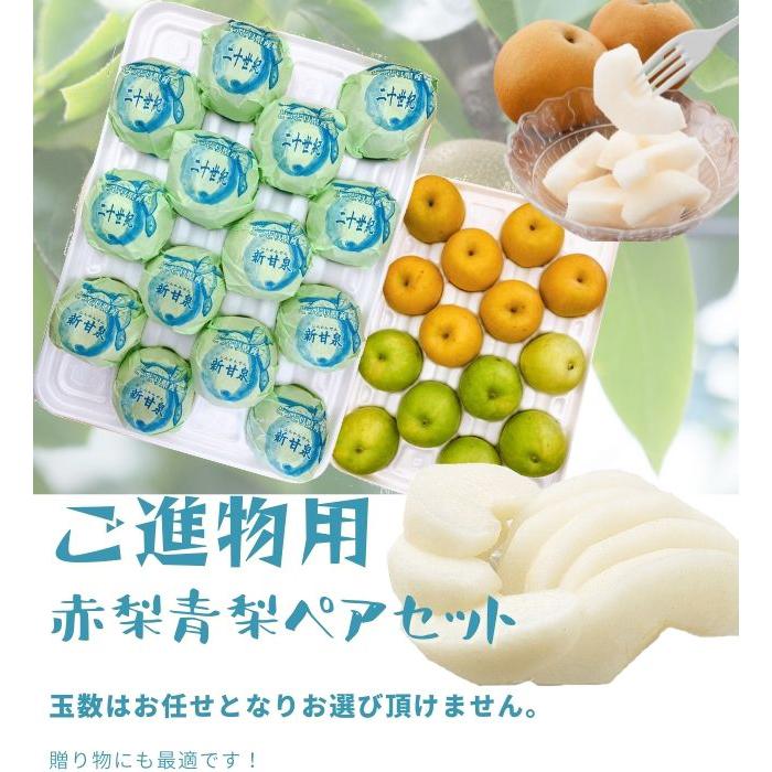 日本最大級の品揃え 新甘泉梨 しんかんせん 鳥取産 二十世紀梨のペアセット 赤秀 5kg 12−18玉入り 甘さ抜群 送料無料 鳥取県産 新甘泉 梨