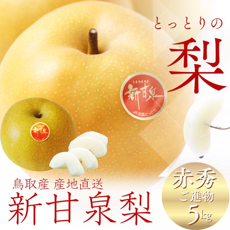 食品 進物用 新甘泉 5キロ×2箱 10キロ