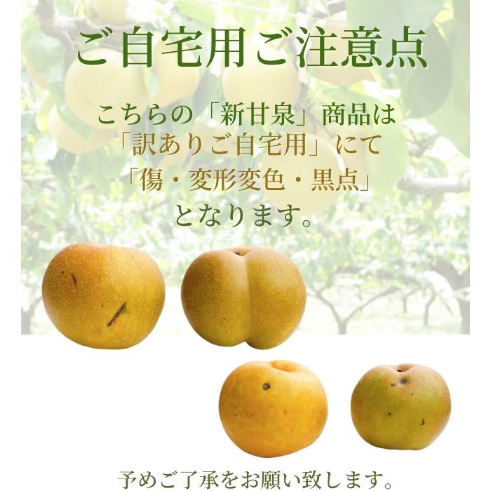 鳥取産 新甘泉梨 しんかんせん 梨 和梨 卓越 ご自宅用 ８ １６玉入り 甘さ抜群 ５ｋｇ 送料無料 訳あり