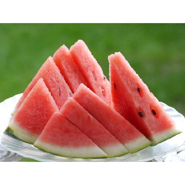 スイカ 西瓜 すいか 鳥取 鳥取県北栄町産（旧大栄町）6-8キロ