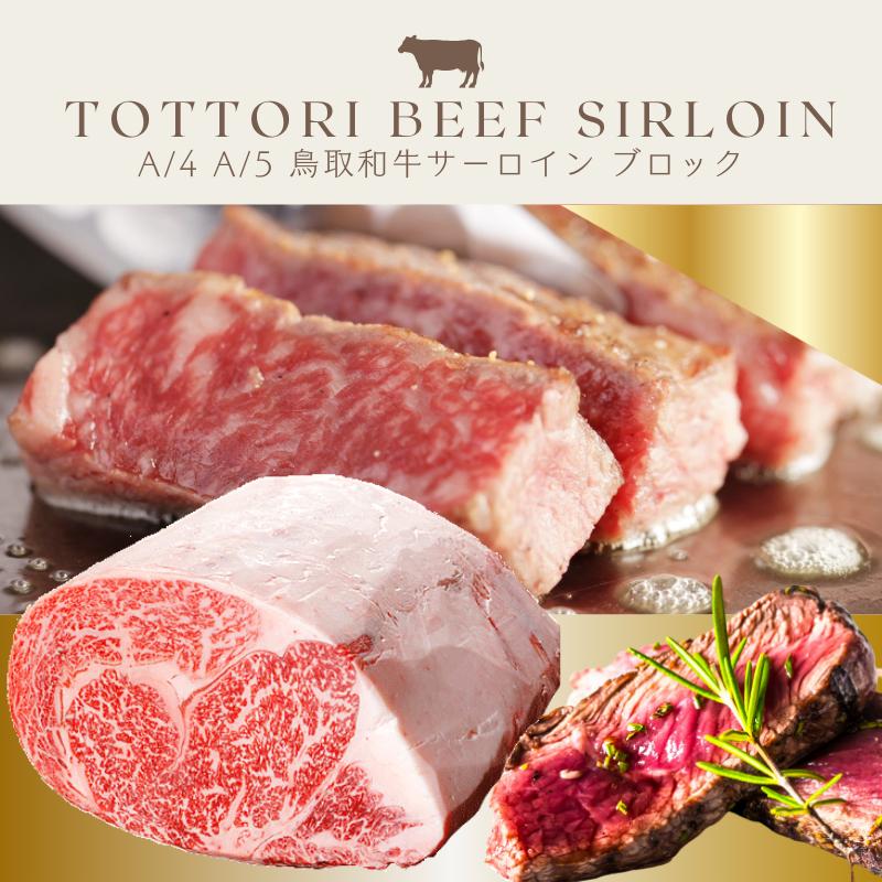 本日発送 sute-22000 型番:sute-22000