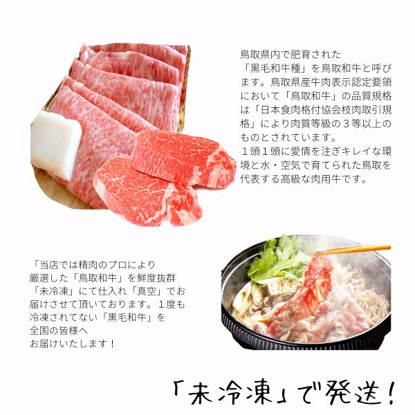 ギフト 和牛 国産牛 サーロイン 3kg ブロック肉 未冷凍 鳥取和牛 A/4 A/5 黒毛和牛肉 鳥取県産 サーロイン ロース ブロック 送料無料の画像