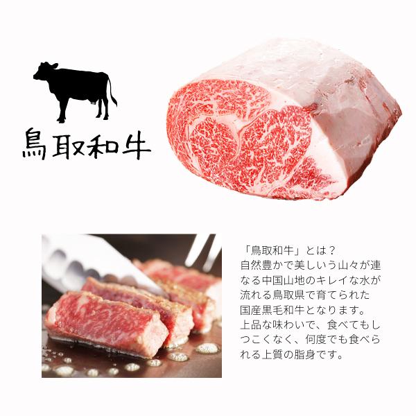 ギフト 和牛 国産牛 サーロイン 4kg ブロック肉 未冷凍 鳥取和牛 A/4 A/5 黒毛和牛肉 鳥取県産 サーロイン ロース ブロック 送料無料の画像