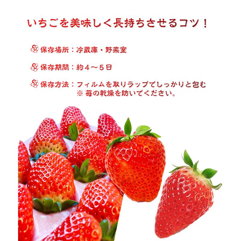 いちご イチゴ 苺 とっておき ４パック入り １パック７個前後入り とっておき 西尾農園 いちご 鳥取琴浦産 Toitigo4 小松屋 通販 Yahoo ショッピング