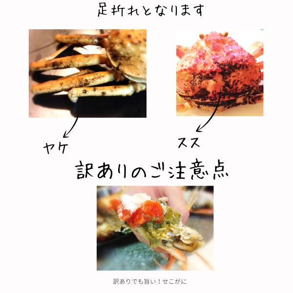 セコガニ （ボイル・茹で）５枚セット(100g〜150ｇ）せこがに 山陰沖産 親がに  セイコガニ｜komatsuya-plan｜12