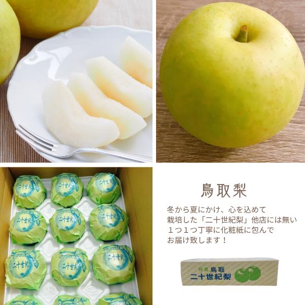 梨 二十世紀梨 20世紀梨 ご贈答用 5kg 赤秀 なし ナシ（L-4L 10-19玉