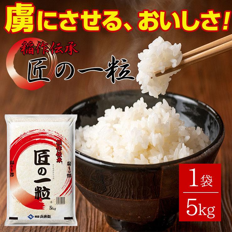 国産 匠の一粒 10kg(5kgx2個セット) 送料無料 米 国産米 精米 国産 匠の一粒 10kg(5kgx2個セット) 送料無料 米 国産米 精米