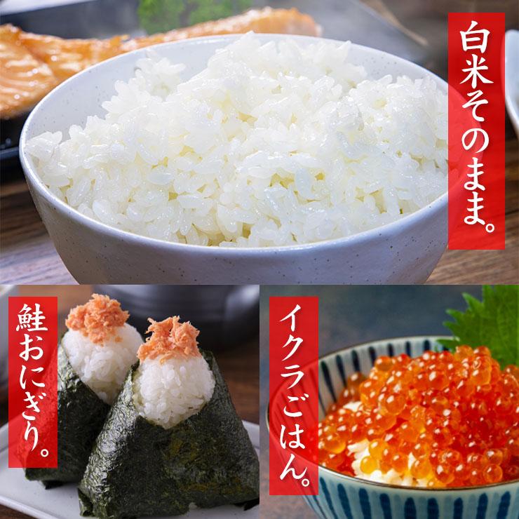 コシヒカリ 丹波産 こしひかり 10kg（5kgx2個セット） 送料無料 米 