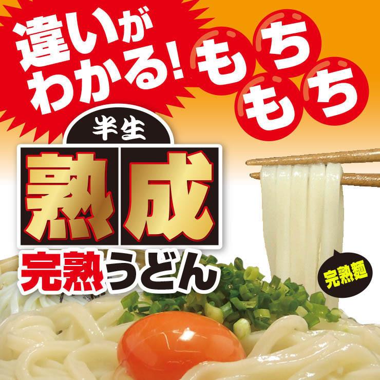 20時間熟成  半生 並麺 讃岐うどん つゆ付きセット 便利な個包装 750g 送料無料 最安値挑戦 得トクセール 特産品｜komatuyamenbox｜05