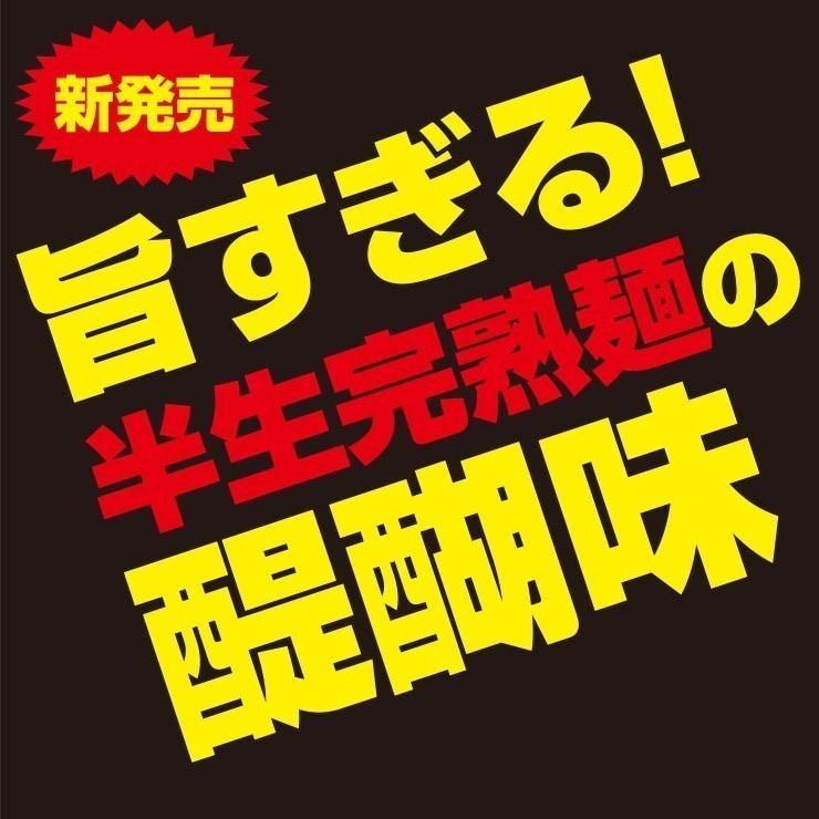 20時間熟成  半生 並麺 讃岐うどん つゆ付きセット 便利な個包装 750g 送料無料 最安値挑戦 得トクセール 特産品｜komatuyamenbox｜03