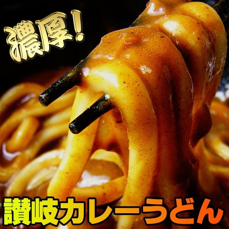 金福純生 讃岐うどん ！1人前食べ切り個包装タイプ！5食セット