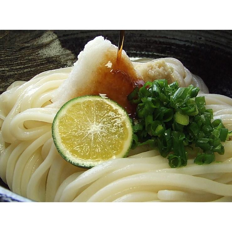 金福 無添加　モチモチ純生讃岐うどん 麺BOXセット　醤油めんつゆ&薬味3種付き 純生 金福 讃岐うどん 6食 つゆなし 讃岐 うどん 送料無料 グルメ 食品