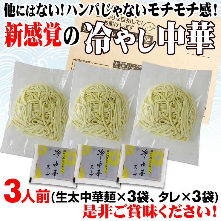 讃岐 生太 田舎 冷やし中華 3食 瀬戸内レモンつゆセット ポイント消化