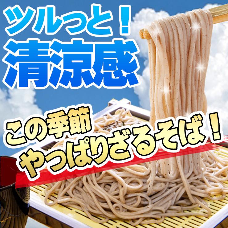 純生讃岐田舎そば 800g 8人前セット 個包装タイプ 200g×4袋 生そば