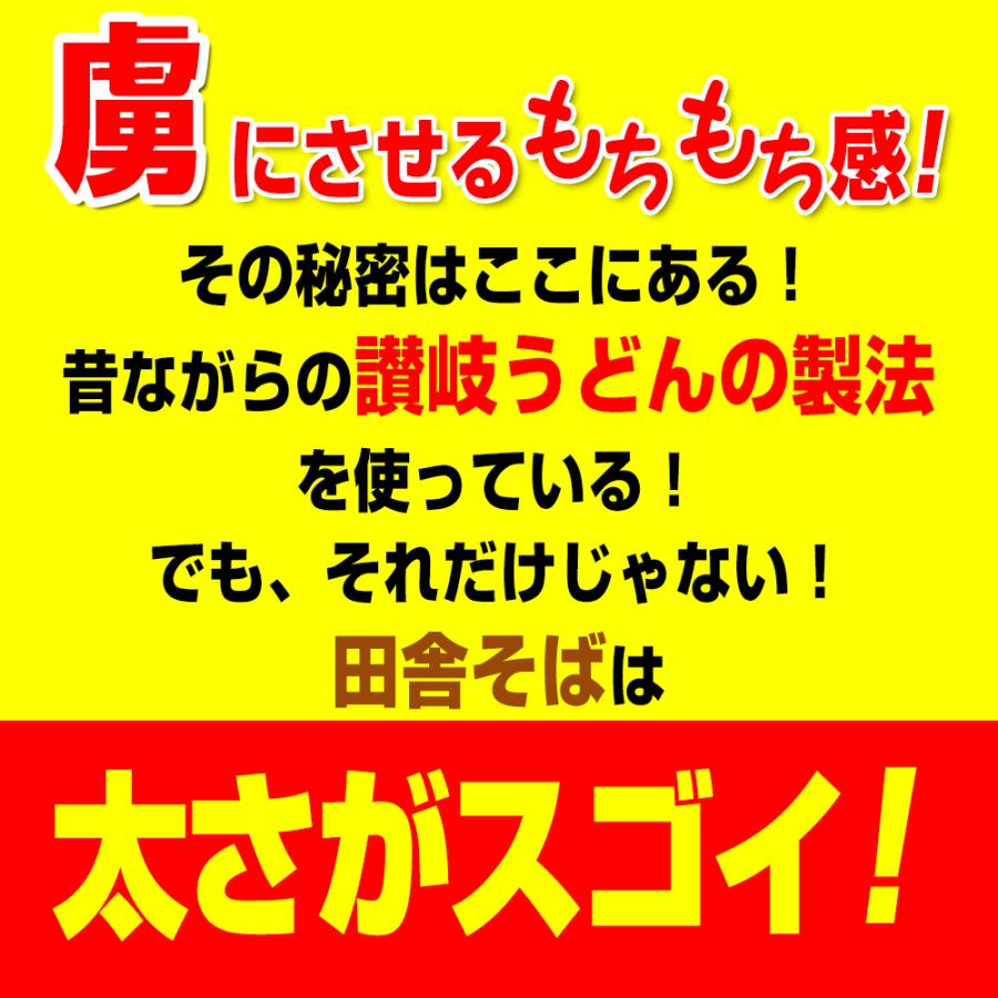 【期間限定899円】 純生讃岐田舎そば 800g 8人前セット 個包装タイプ 200g×4袋 生そば 食品 ポイント利用 お試し商品 サンプル | ブランド登録なし | 07