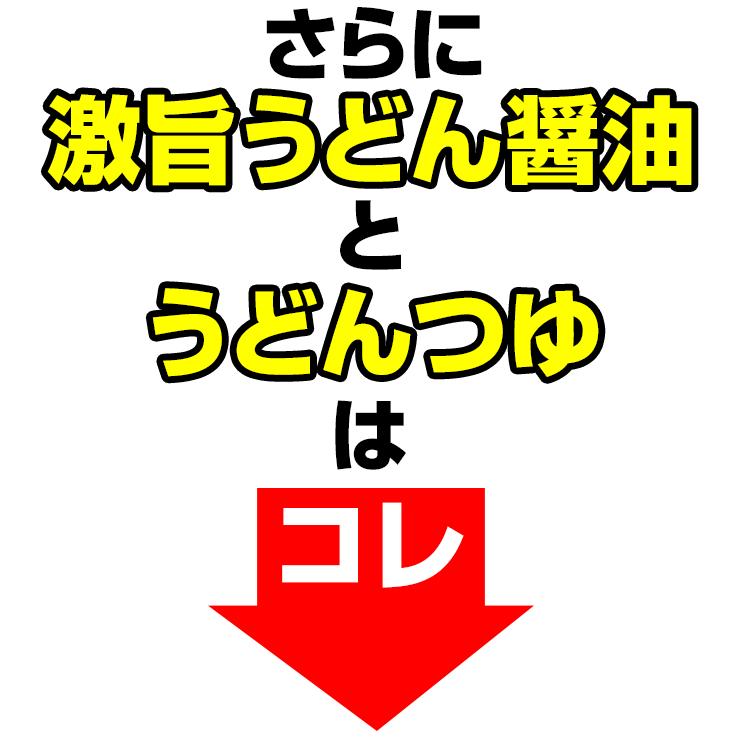 ポイント10% ひと目惚れするほど、旨すぎる 醤油・つゆ付 金福 讃岐うどん 1000円ポッキリ 送料無料 並切麺 香川県 グルメ｜komatuyamenbox｜10