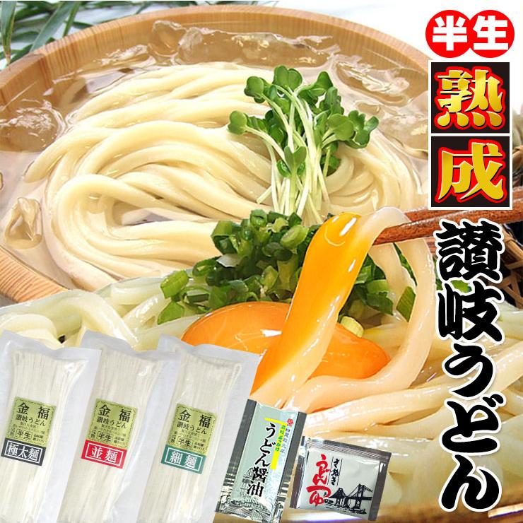 20時間熟成  半生 讃岐うどん 3種麺 つゆ付きセット 便利な個包装 750g 最安値挑戦 特産品 ポイント利用 お試し商品 サンプル（Yahoo!・讃岐うどんの小松屋麺BOX）
