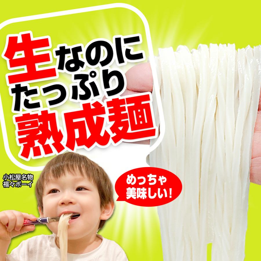 最安値挑戦商品！ 讃岐うどん 約9人前（300g×3袋） 熟成麺 金福 純生うどん 並切麺 ポイント消化 特産品 グルメ 生麺 ポイント利用 お試し商品 サンプル | ブランド登録なし | 04