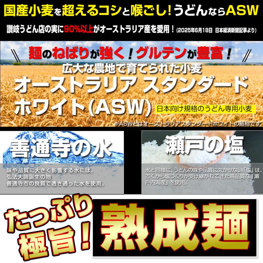 最安値挑戦商品！ 讃岐うどん 約9人前（300g×3袋） 熟成麺 金福 純生うどん 並切麺 ポイント消化 特産品 グルメ 生麺 ポイント利用 お試し商品 サンプル | ブランド登録なし | 06