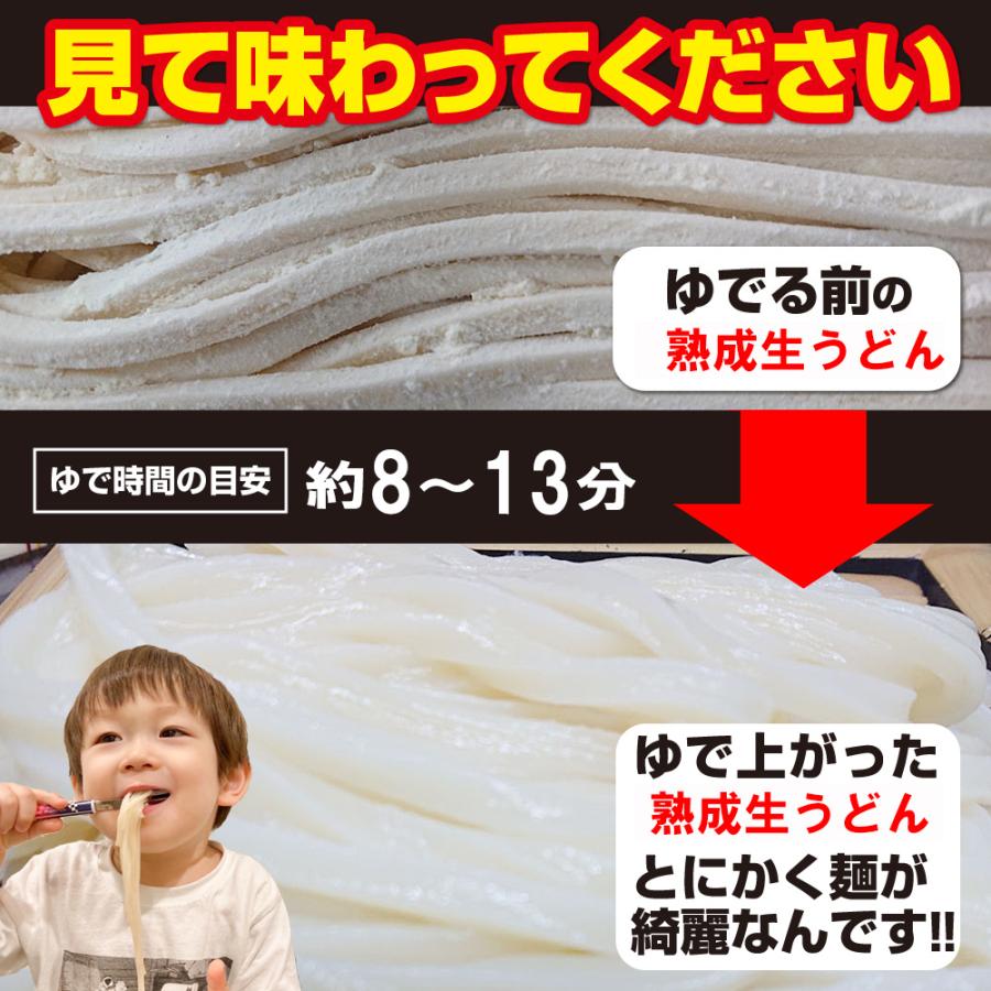 最安値挑戦商品！ 讃岐うどん 約9人前（300g×3袋） 熟成麺 金福 純生うどん 並切麺 ポイント消化 特産品 グルメ 生麺 ポイント利用 お試し商品 サンプル | ブランド登録なし | 07