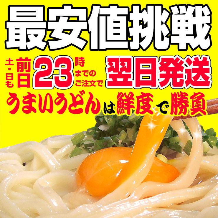 最安値挑戦商品！ 讃岐うどん 約9人前（300g×3袋） 圧倒的！ もちもち熟成麺 金福 純生うどん 並切麺 送料無料 ポイント消化 特産品 お試し グルメ 生麺｜komatuyamenbox｜04