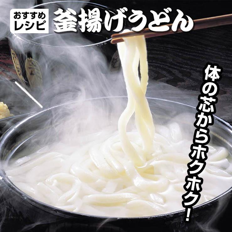 熟成 ちょい 生太 讃岐うどん ドーンと 7.5食 便利な個包装 250g×3袋 送料無料 最安値 挑戦 得トクセール 特産品 ポイント利用 お試し商品 サンプル | ブランド登録なし | 14