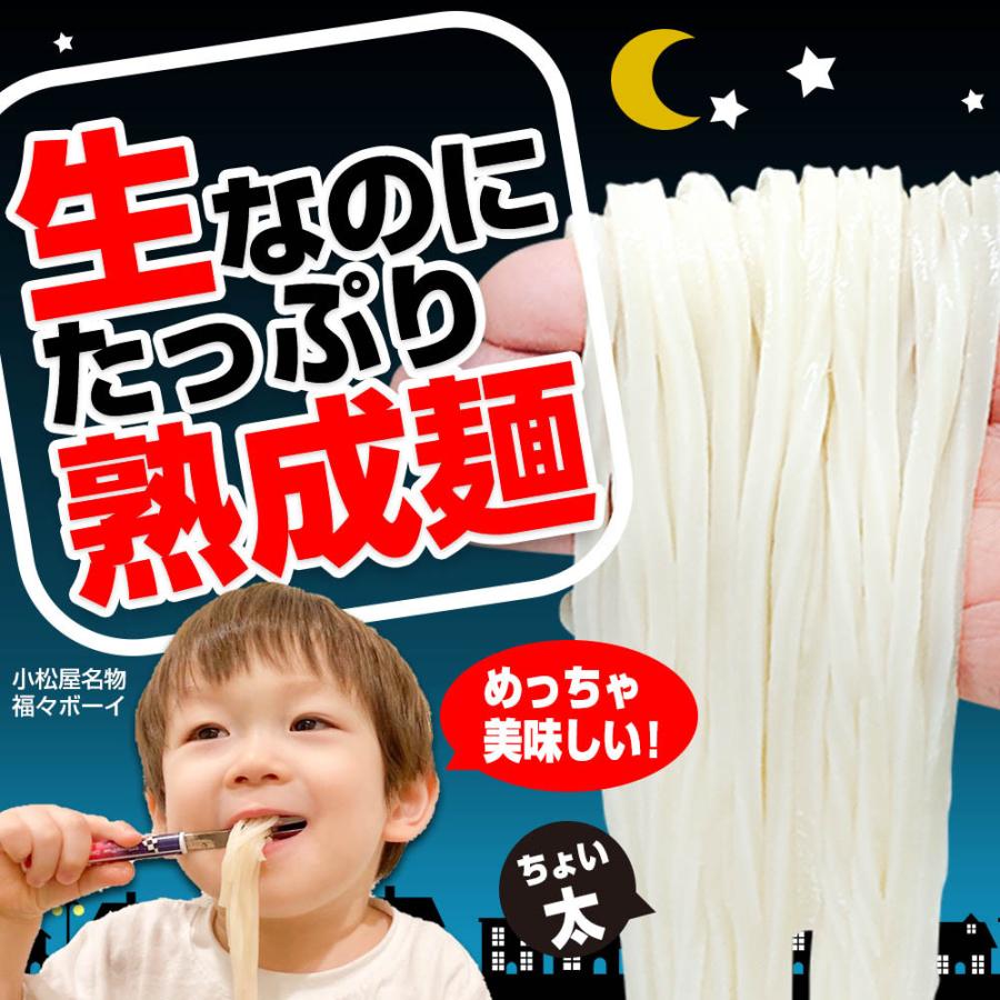 熟成 ちょい 生太 讃岐うどん ドーンと 7.5食 便利な個包装 250g×3袋 送料無料 最安値 挑戦 得トクセール 特産品 ポイント利用 お試し商品 サンプル | ブランド登録なし | 03