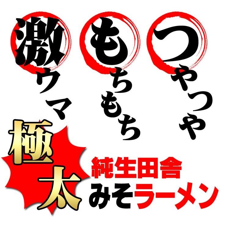 讃岐 生太 田舎 味噌ラーメン 4食セット 送料無料 もちもちすぎる セール ポイント消化 お取り寄せ 特産品 みそラーメン｜komatuyamenbox｜09