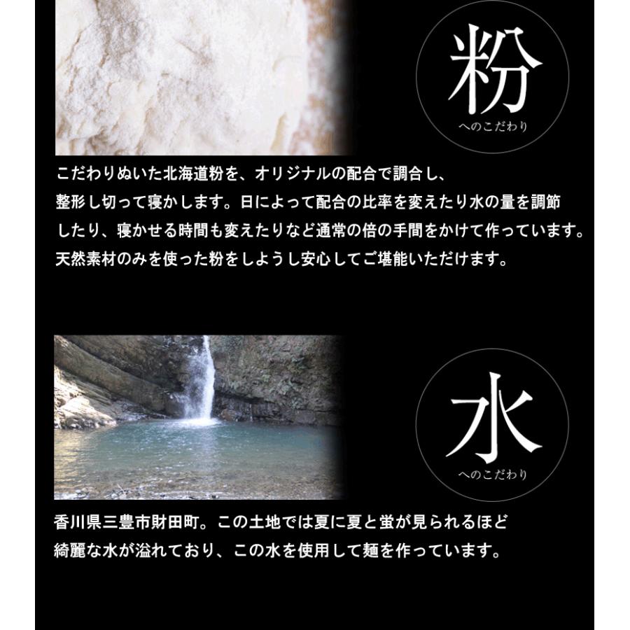 讃岐 甘だれ 生太 田舎 焼きそば ソース付き 食品セール ポイント消化 特産品 ポイント利用 お試し商品 サンプル | ブランド登録なし | 07