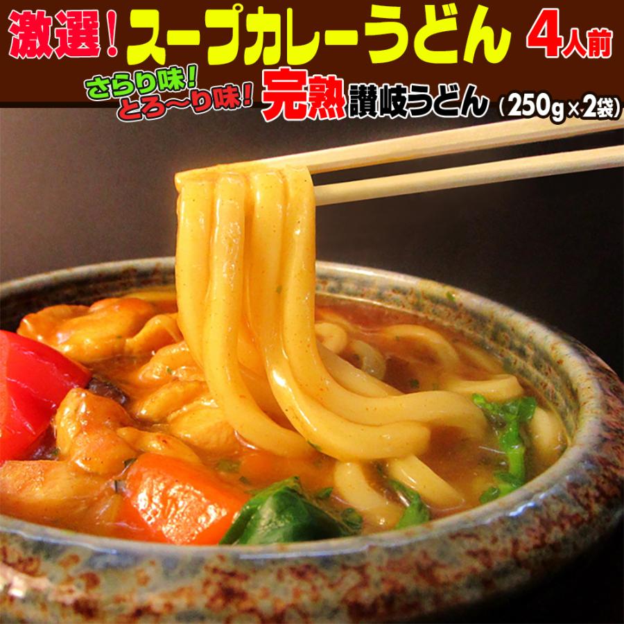 激選スープカレー 讃岐うどん 4人前セット ネコポス お試し 讃岐 食品 激安 ポイント利用 お試し商品 サンプル（Yahoo!・讃岐うどんの小松屋麺BOX）