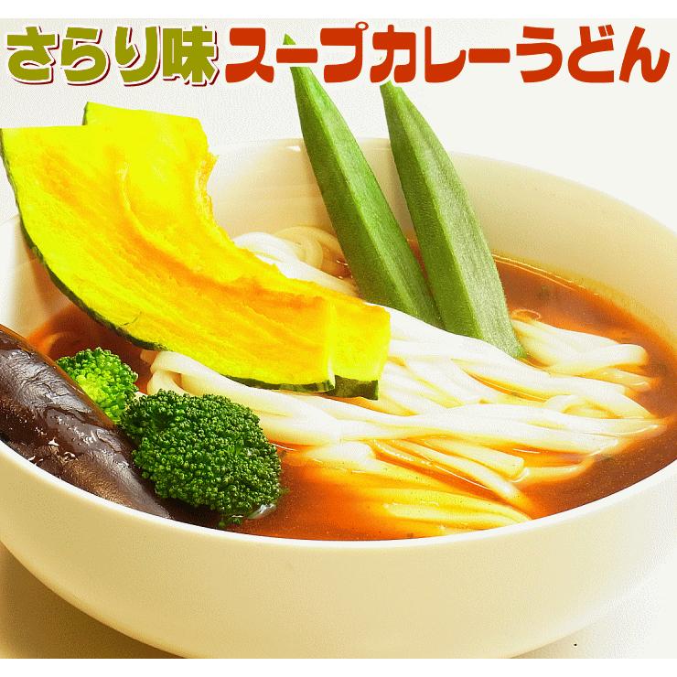 激選スープカレー 讃岐うどん 4人前セット ネコポス お試し 讃岐 食品 激安 ポイント利用 お試し商品 サンプル | ブランド登録なし | 03