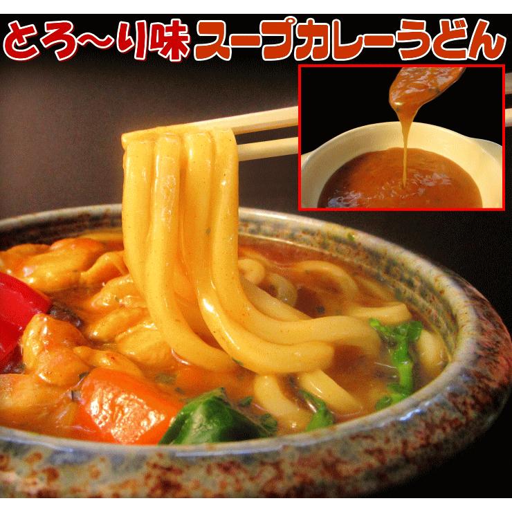 激選スープカレー 讃岐うどん 4人前セット ネコポス お試し 讃岐 食品 激安 ポイント利用 お試し商品 サンプル | ブランド登録なし | 04